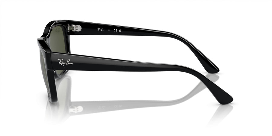 Propionate Unisex Sunglass RB4428 – Black / Green