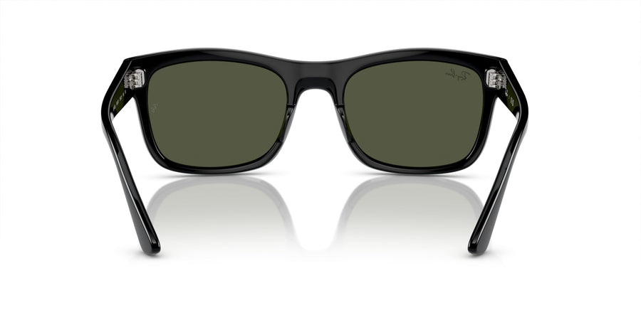 Propionate Unisex Sunglass RB4428 – Black / Green