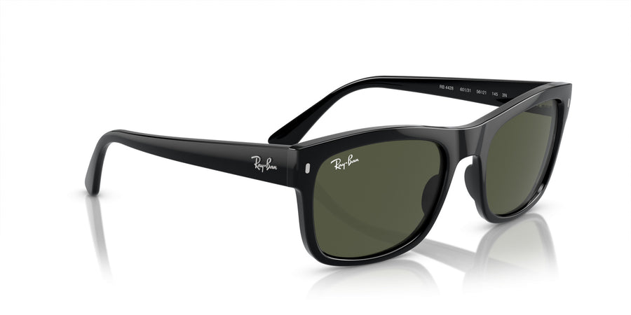 Propionate Unisex Sunglass RB4428 – Black / Green