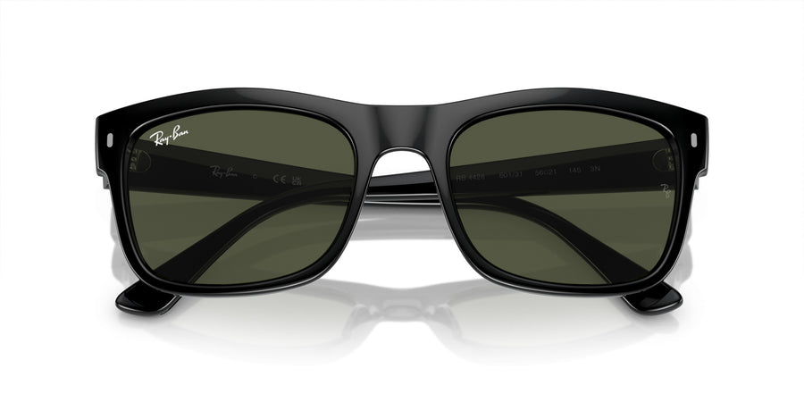 Propionate Unisex Sunglass RB4428 – Black / Green