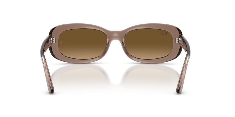 Propionate Woman Sunglass RB2221 – Grey / Gradient Brown Polar