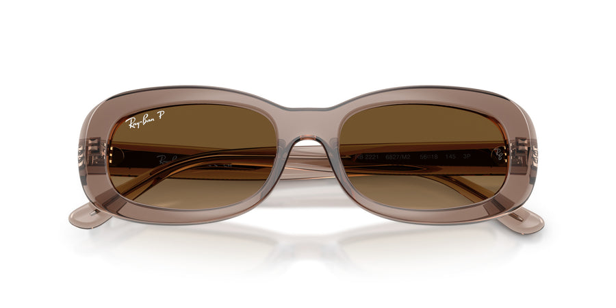 Propionate Woman Sunglass RB2221 – Grey / Gradient Brown Polar