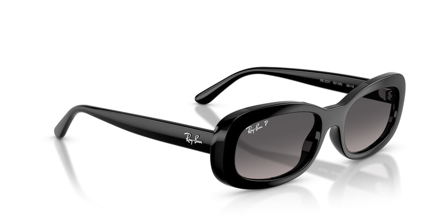 Propionate Woman Sunglass RB2221 – Black / Gradient Grey Polar