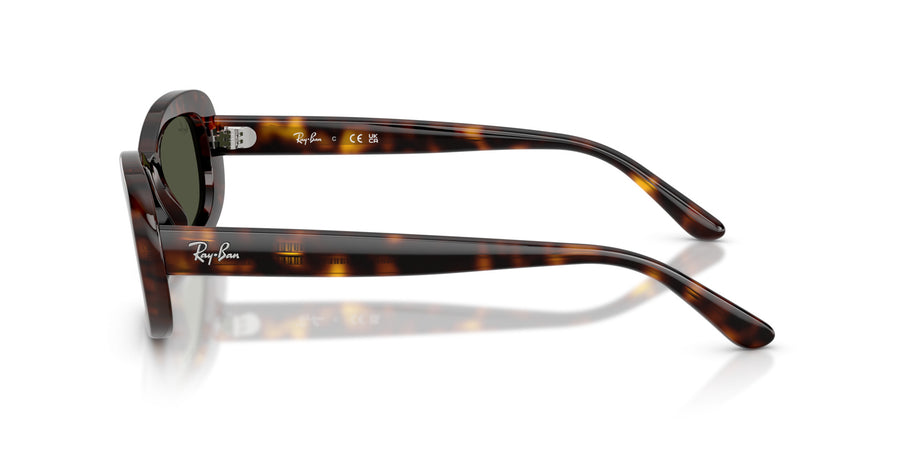 Propionate Woman Sunglass RB2221 – Havana / Green