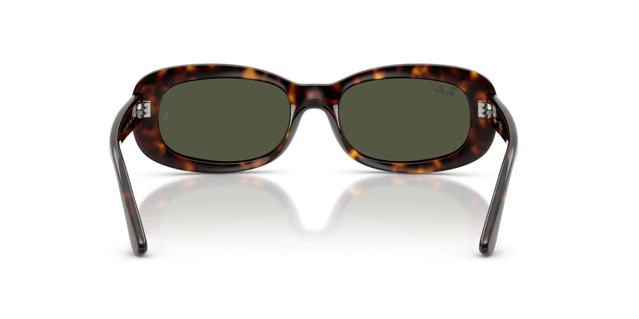 Propionate Woman Sunglass RB2221 – Havana / Green