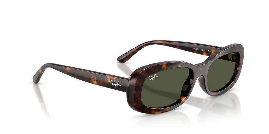 Propionate Woman Sunglass RB2221 – Havana / Green