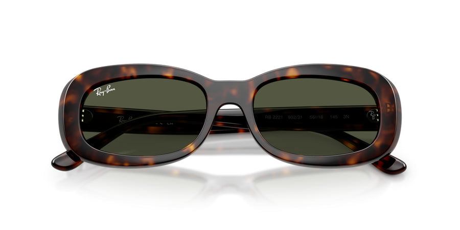 Propionate Woman Sunglass RB2221 – Havana / Green