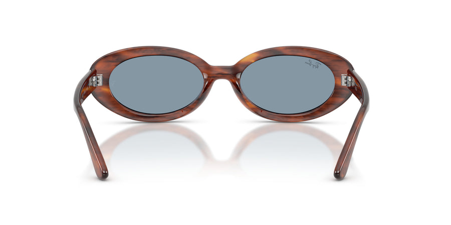 Propionate Woman Sunglass RB2223 – Havana / Blue