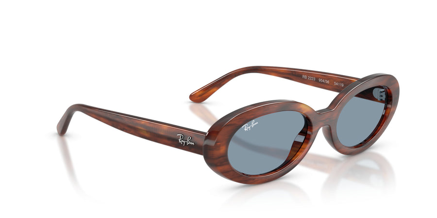 Propionate Woman Sunglass RB2223 – Havana / Blue