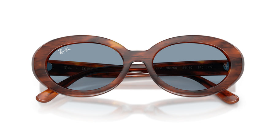 Propionate Woman Sunglass RB2223 – Havana / Blue