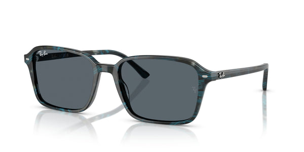 Raimond RB2231 – Blue