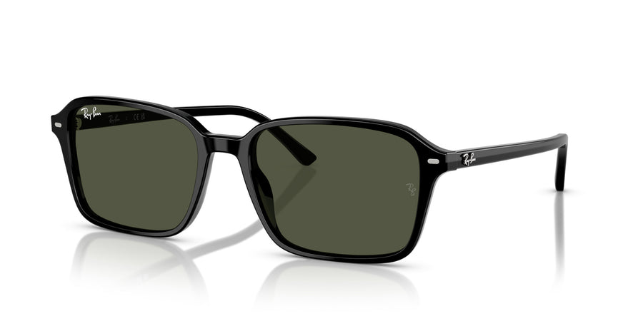 Raimond RB2231 – Black / Crystal Green