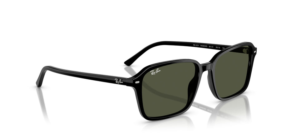 Raimond RB2231 – Black / Crystal Green