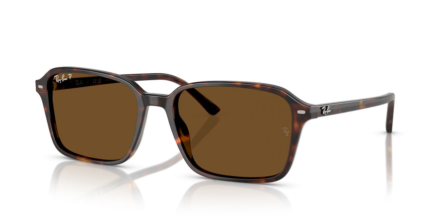 Raimond RB2231 – Havana / Brown - Polar + Ar
