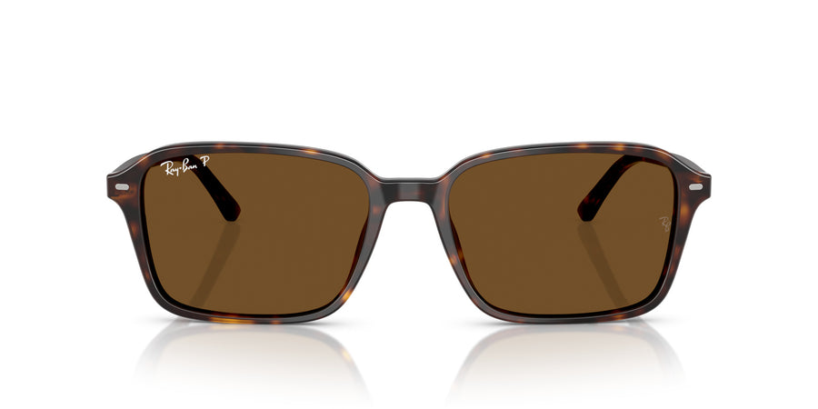 Raimond RB2231 – Havana / Brown - Polar + Ar