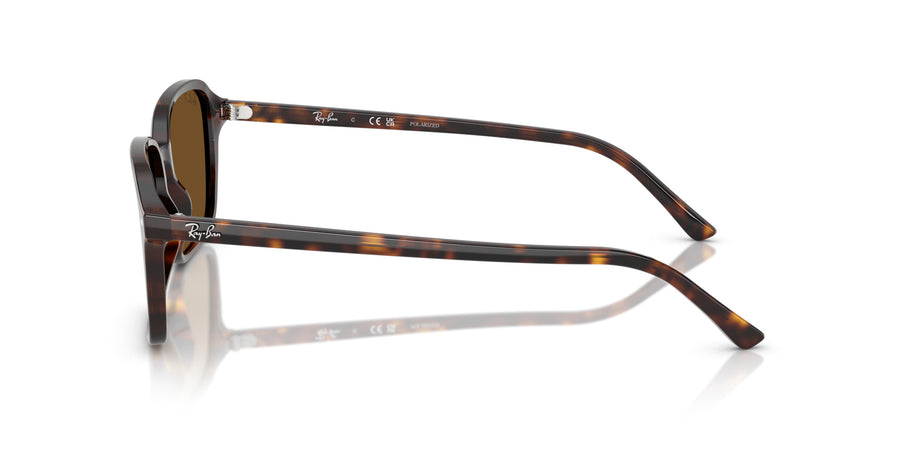 Raimond RB2231 – Havana / Brown - Polar + Ar