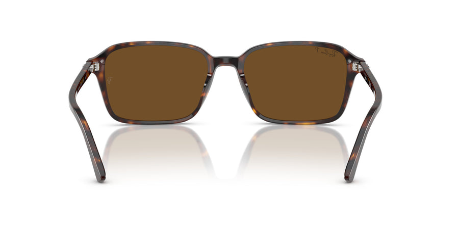 Raimond RB2231 – Havana / Brown - Polar + Ar