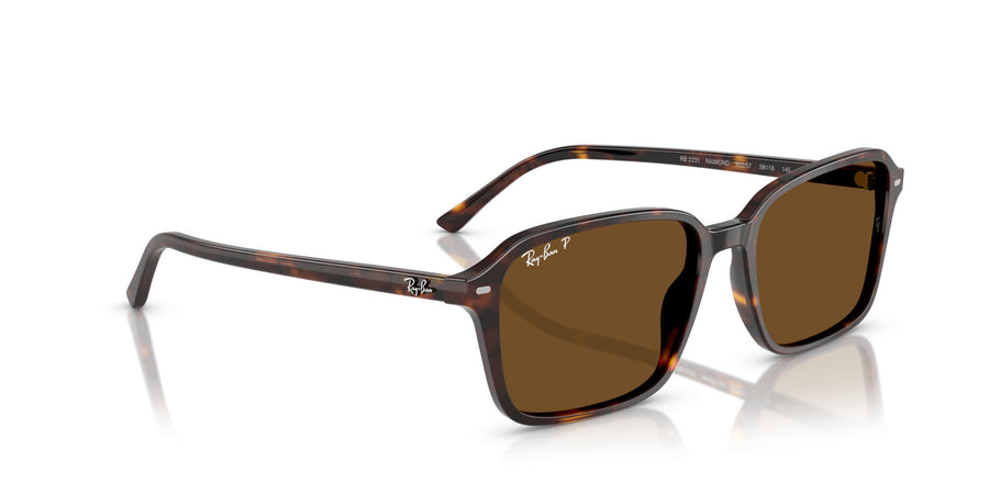 Raimond RB2231 – Havana / Brown - Polar + Ar