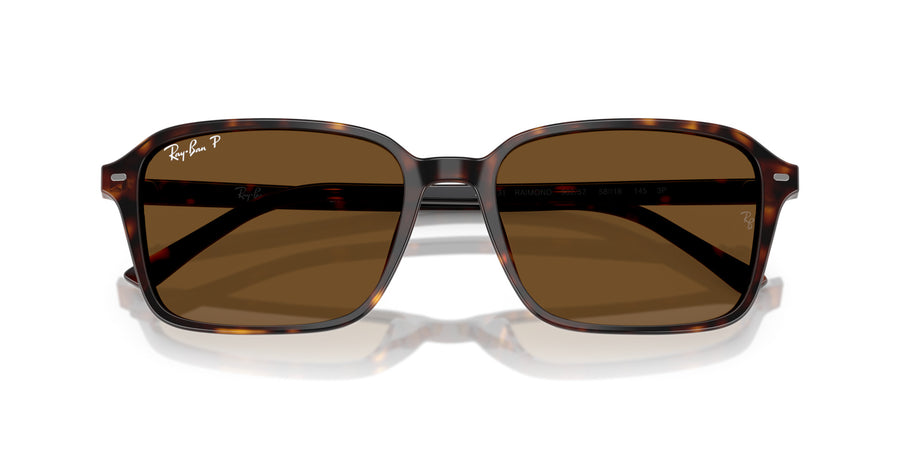 Raimond RB2231 – Havana / Brown - Polar + Ar
