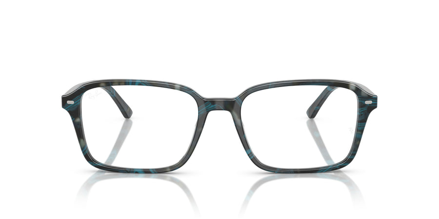 Raimond RX5431