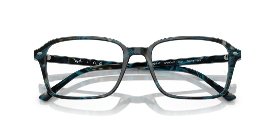 Raimond RX5431