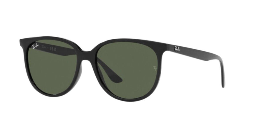Black Sunglasses RB4378 – Black / Dark Green
