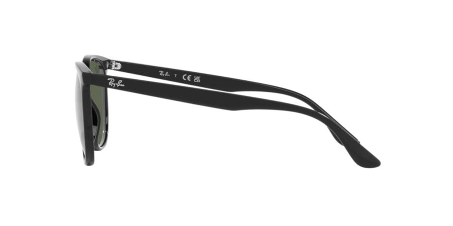 Black Sunglasses RB4378 – Black / Dark Green