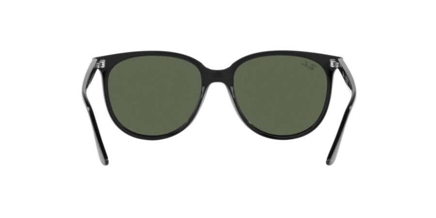 Black Sunglasses RB4378 – Black / Dark Green