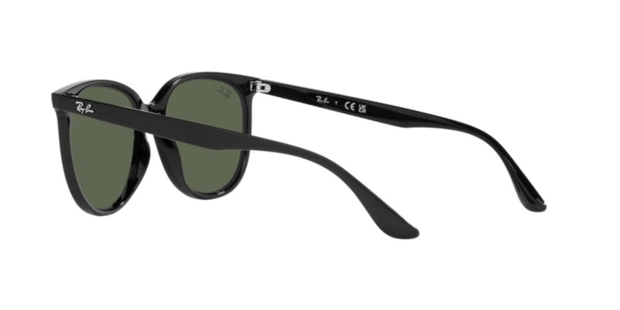 Black Sunglasses RB4378 – Black / Dark Green