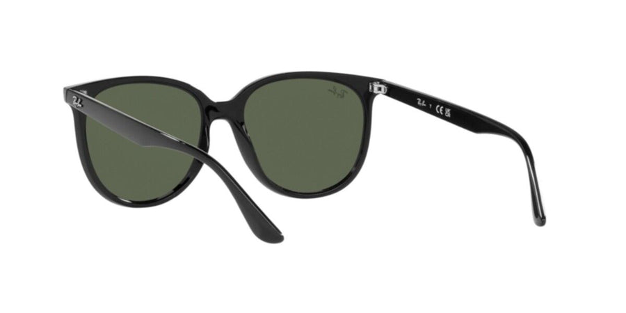 Black Sunglasses RB4378 – Black / Dark Green