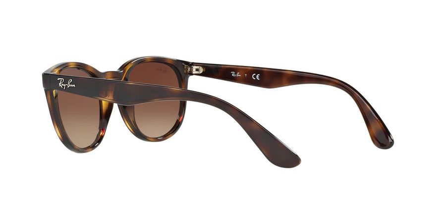 RB4252 – Havana