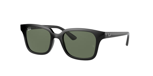 RB9071S – Shiny Black / Dark Green