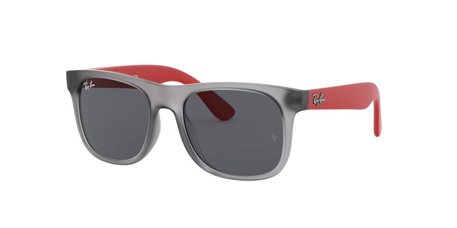 RJ9069S – Rubber Transparent Grey / Dark Grey