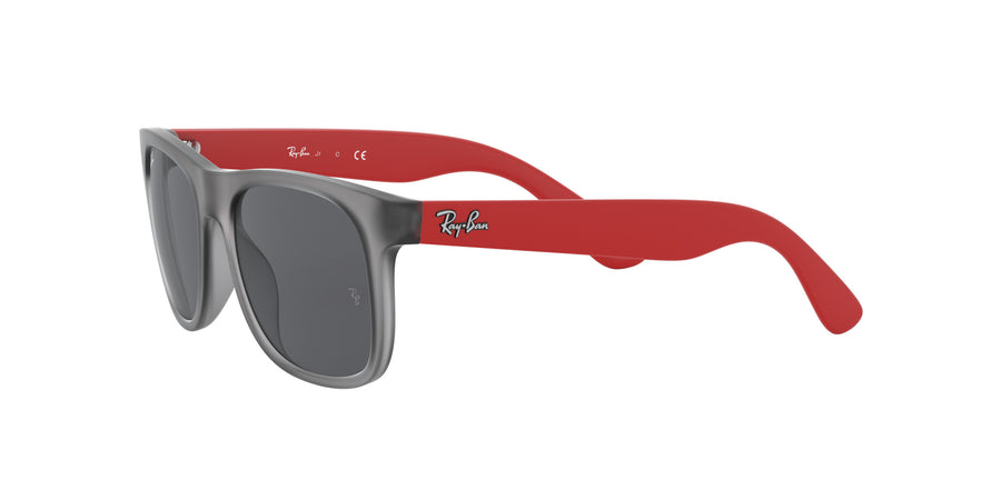 RJ9069S – Rubber Transparent Grey / Dark Grey