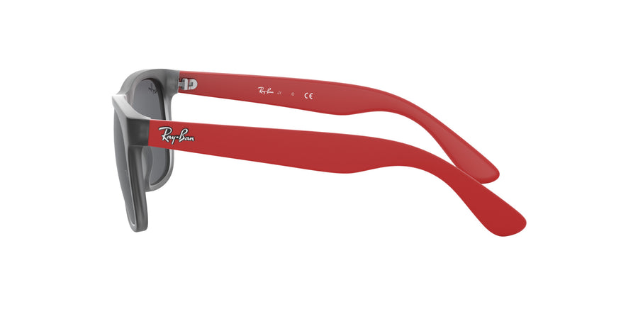 RJ9069S – Rubber Transparent Grey / Dark Grey