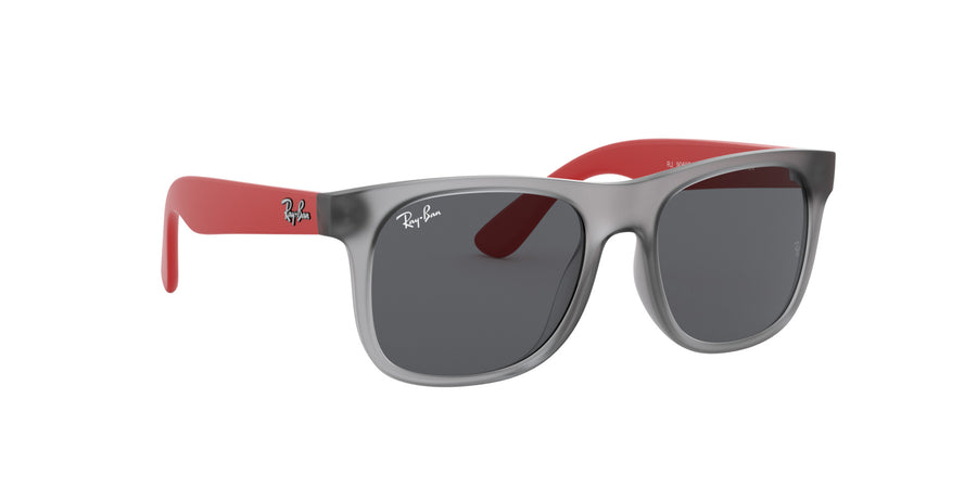 RJ9069S – Rubber Transparent Grey / Dark Grey