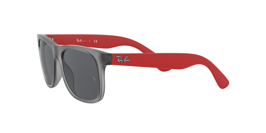 RJ9069S – Rubber Transparent Grey / Dark Grey