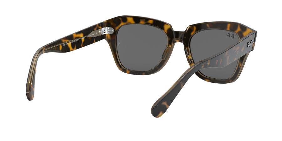 State Street RB2186 – Havana On Trasparent Light Brown / Dark Grey
