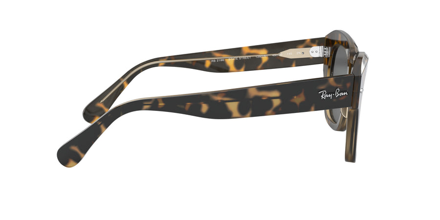 State Street RB2186 – Havana On Trasparent Light Brown / Dark Grey