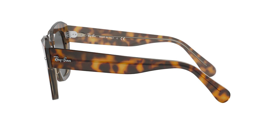 State Street RB2186 – Havana On Trasparent Light Brown / Dark Grey