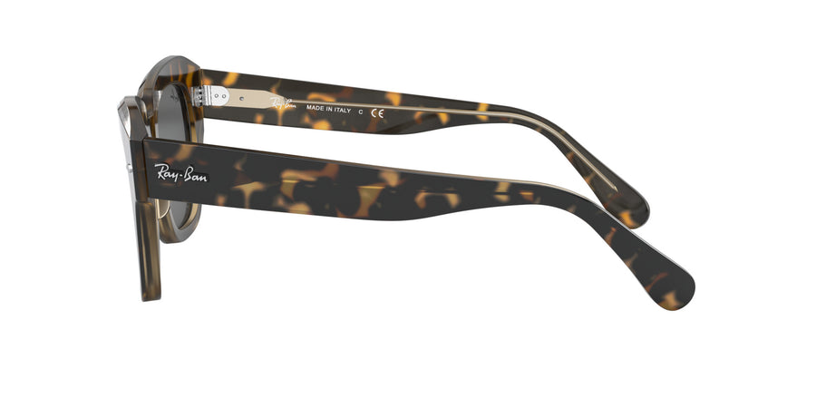 State Street RB2186 – Havana On Trasparent Light Brown / Dark Grey