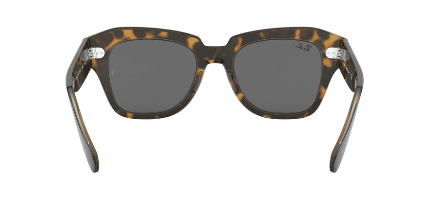 State Street RB2186 – Havana On Trasparent Light Brown / Dark Grey