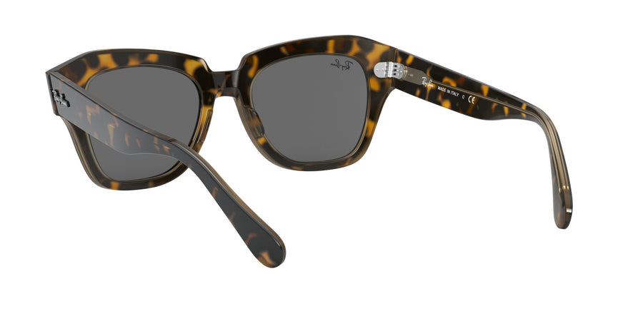 State Street RB2186 – Havana On Trasparent Light Brown / Dark Grey