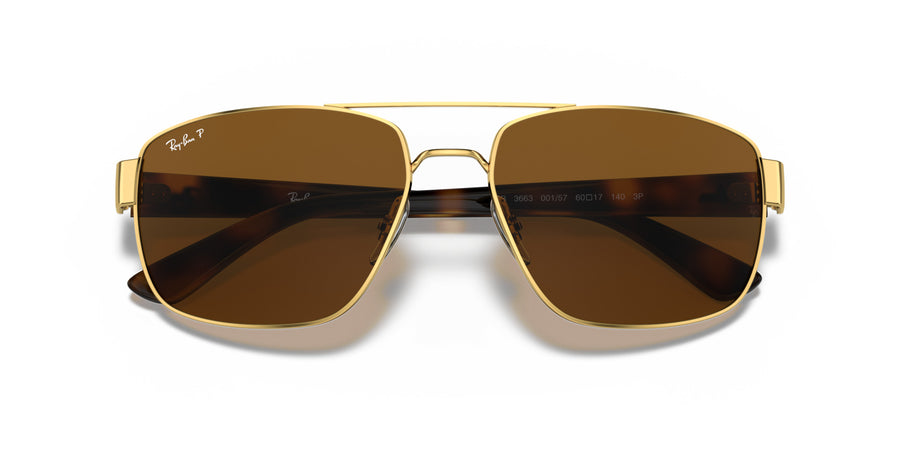 Steel Man Sunglass RB3663 – B-15 Brown