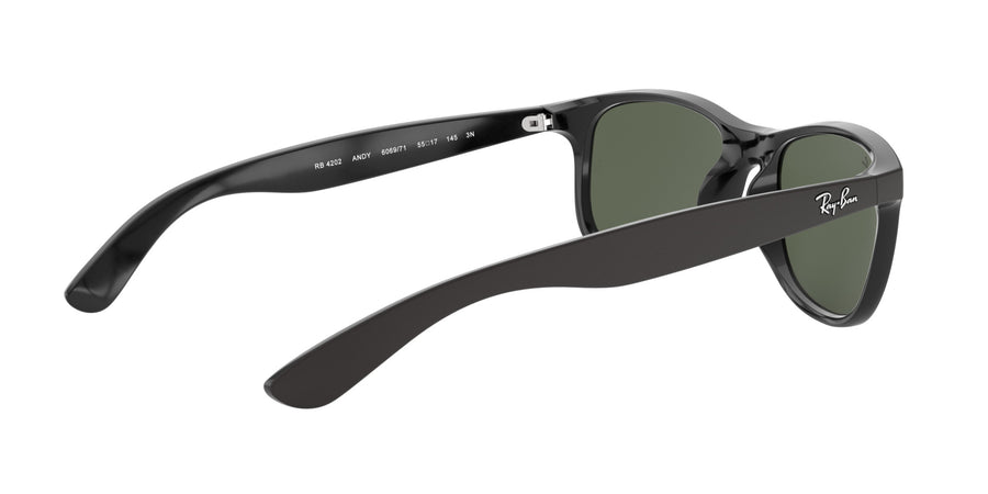 Andy RB4202 – Black / Dark Green