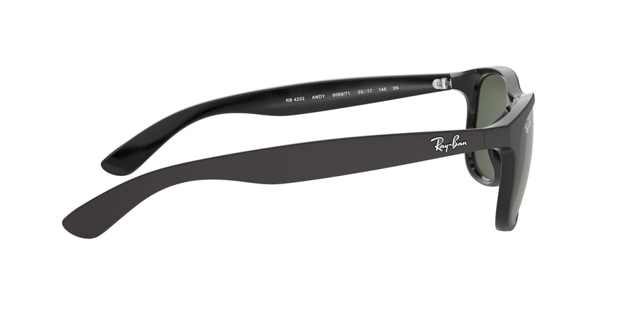 Andy RB4202 – Black / Dark Green