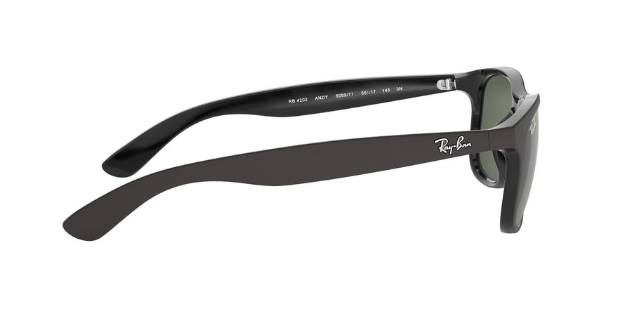 Andy RB4202 – Black / Dark Green