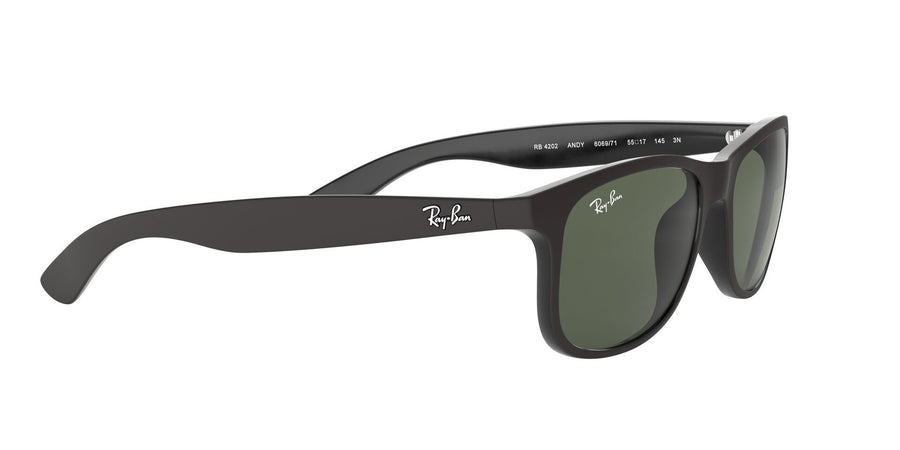 Andy RB4202 – Black / Dark Green