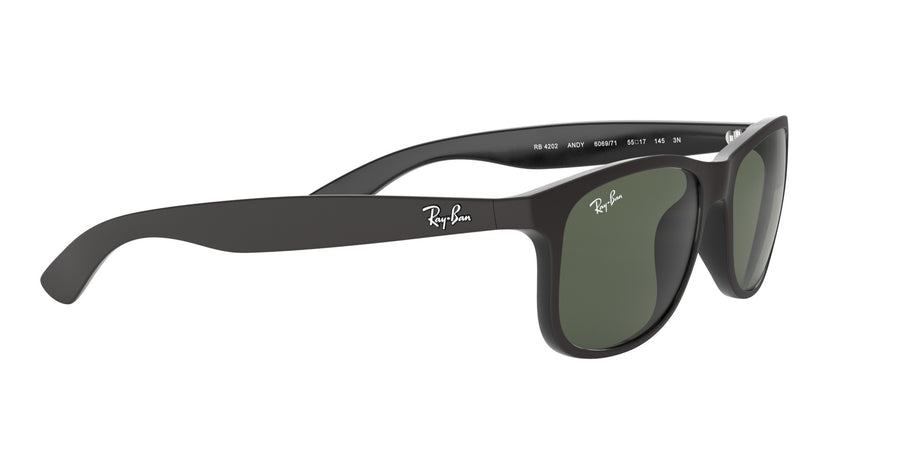 Andy RB4202 – Black / Dark Green
