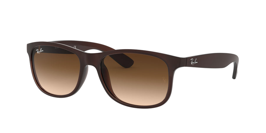 Andy RB4202 – Brown / Brown Gradient Dark Brown